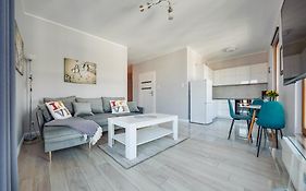 Wild Island Suite
